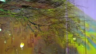 Interview: Elixir The Video Organism of Pipilotti Rist