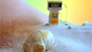 I Drink Your Bath Water by Pipilotti Rist