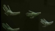 Hands Installation by Olga Mink